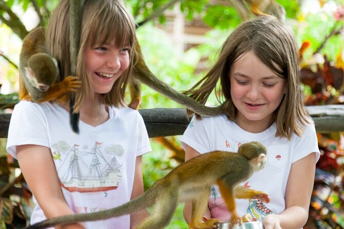 Punta Cana Monkeyland and Zipline Two Adventures in One Day - Monkeyland and the squirrel monkey encounter
