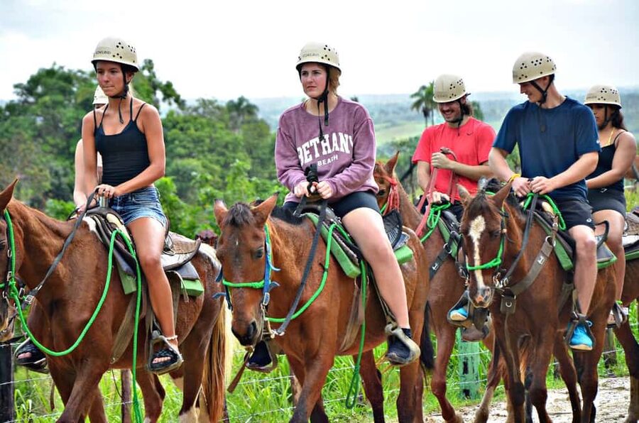 Punta Cana:Paseo en buggie ,caballo y ziplines en la selva - A cocoa plantation with a taste of rural Dominican life