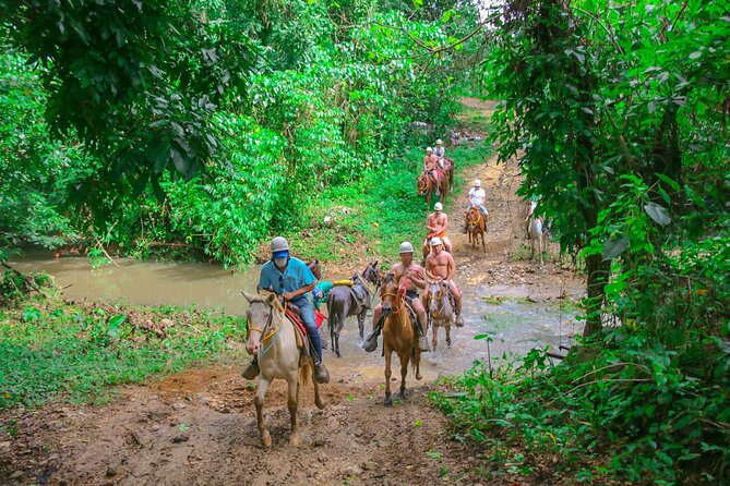 Punta Cana Zipline Adventure with Buggies and Horseback Riding - Ziplines through the jungle