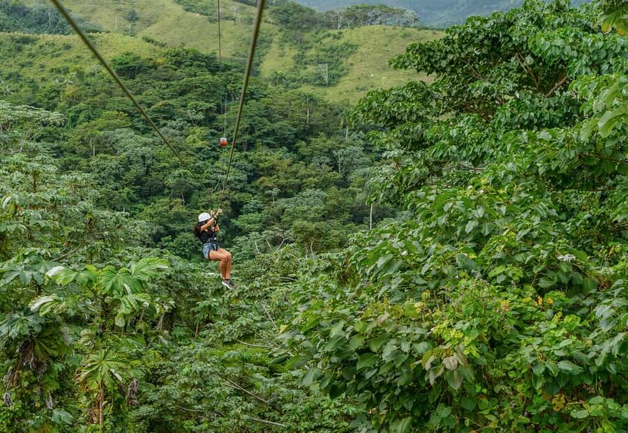 Punta Cana: Zipline, Chairlift, Buggy & Horse Ride Adventure - Ziplining across the forest