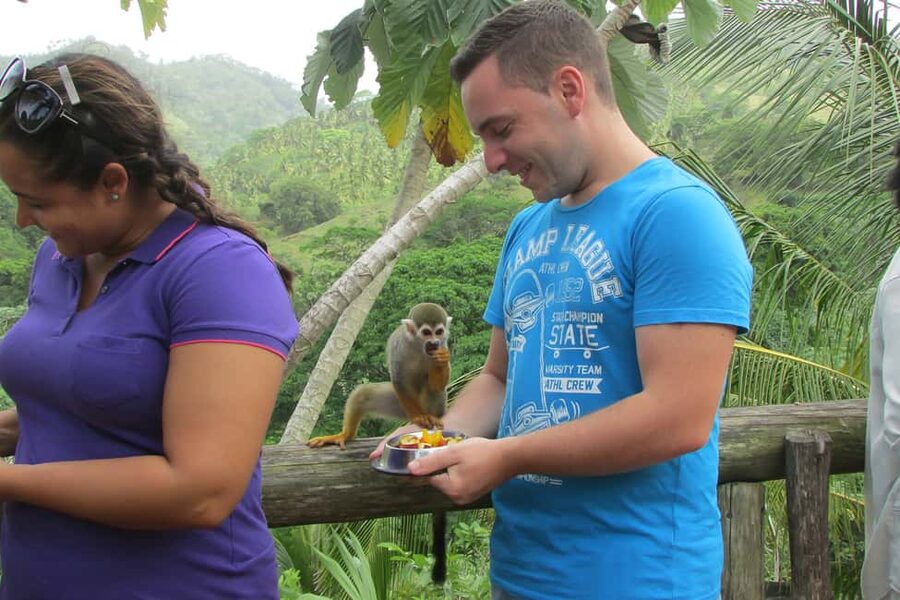 Punta Cana: Ziplines Adventures & Monkeyland Entry - My verdict on the zipline and Monkeyland combination
