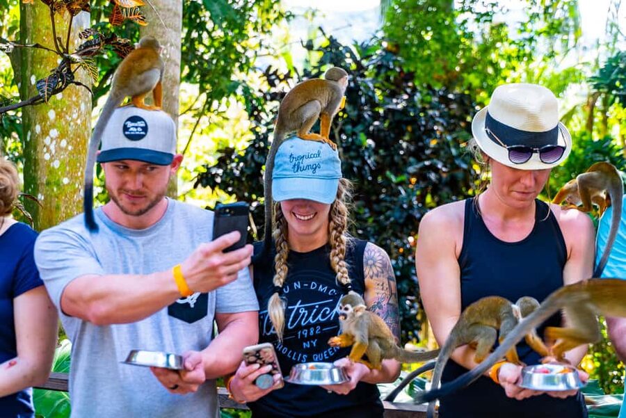 Punta Cana: Ziplines Adventures & Monkeyland Entry - What the ziplining feels like
