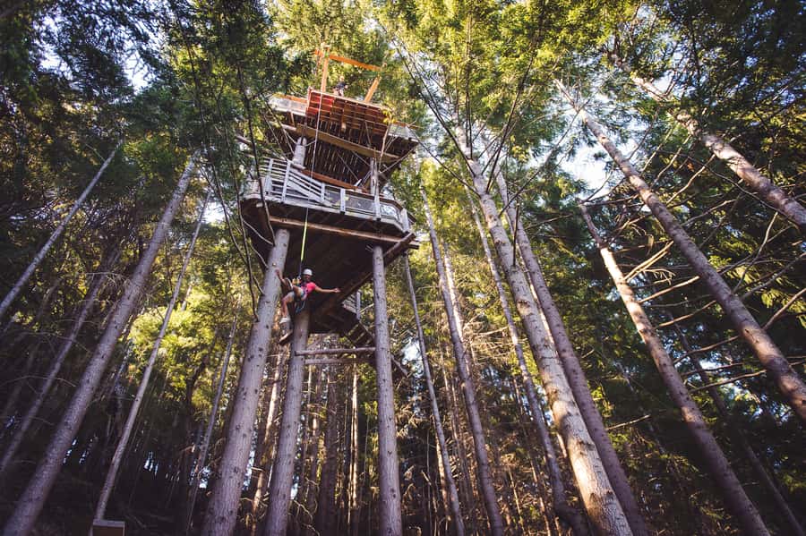 Queenstown: 1-Hour Zipline Tour with 2-Lines & 21-Meter Drop - The 21-meter drop from the final platform