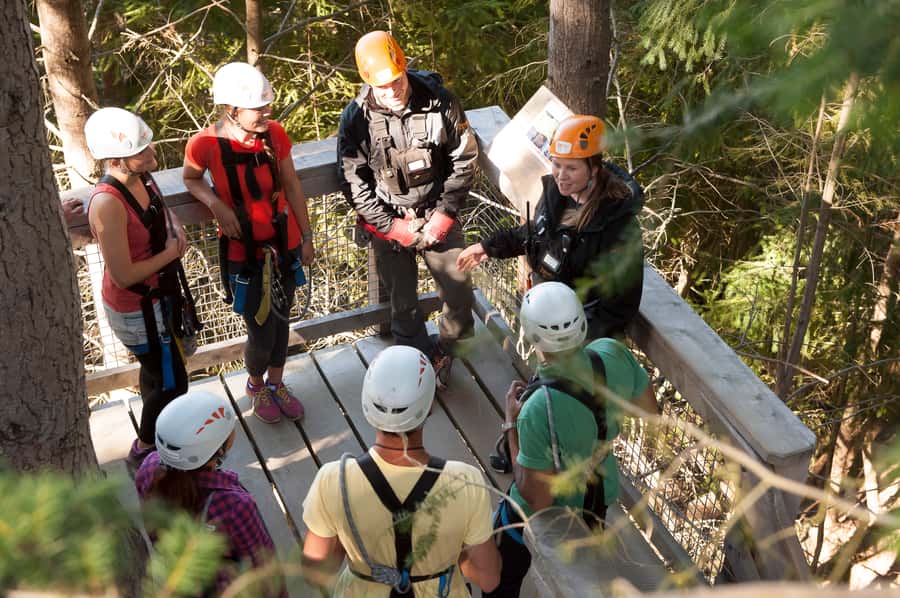 Queenstown: 3-Hour Zipline Adventure with 6-Lines - Key points at a glance