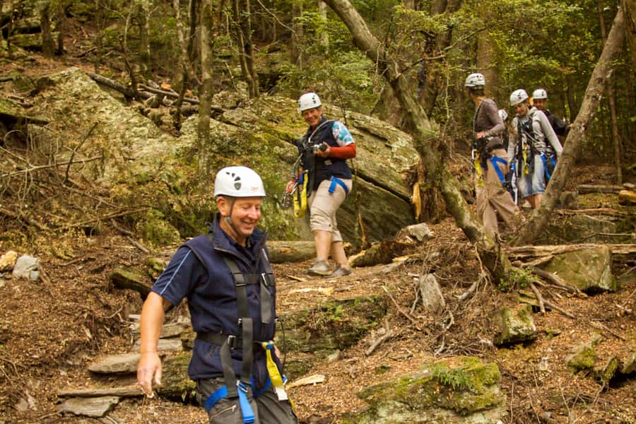 Queenstown: 3-Hour Zipline Adventure with 6-Lines - Lake Wakatipu and the Remarkables between the trees