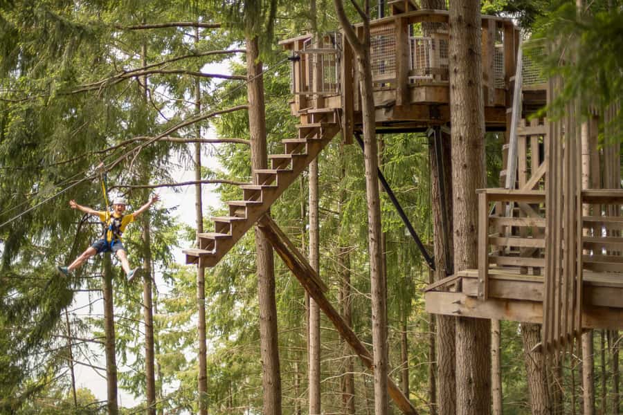 Queenstown: 3-Hour Zipline Adventure with 6-Lines - Six ziplines that grow more exciting