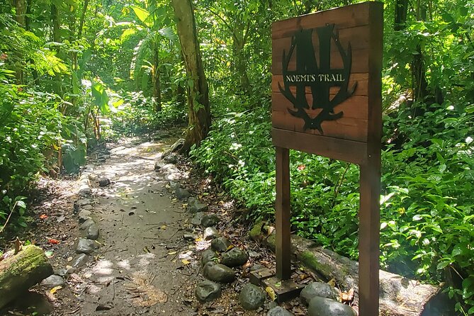 Rainforest and Junglequi Zipline Combo Tour - Who will enjoy this day most