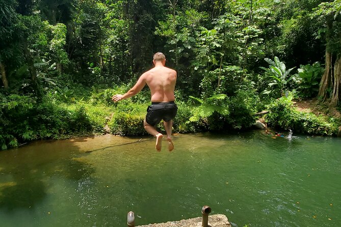 Rainforest and Junglequi Zipline Combo Tour - Nine ziplines above the rainforest