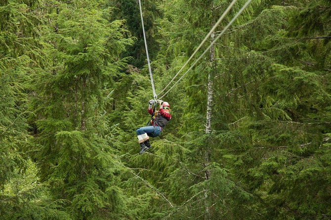Rainforest Canopy & Zipline Adventure in Ketchikan, AK - Key things to know before you book