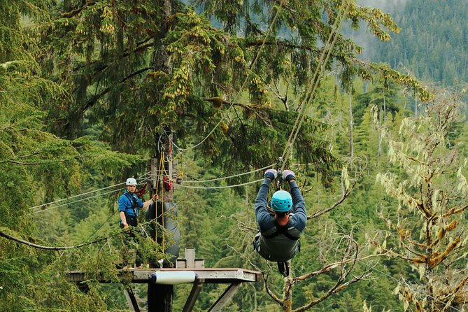 Rainforest Canopy & Zipline Adventure in Ketchikan, AK - What happens at the Alaska Rainforest Sanctuary