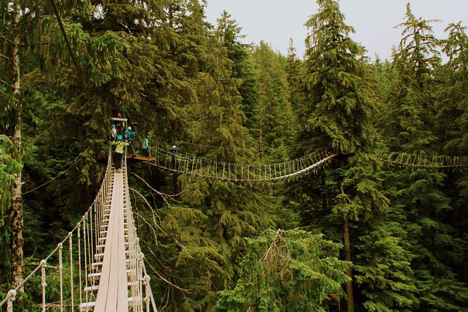 Rainforest Canopy & Zipline Adventure in Ketchikan, AK - How difficult is the course?