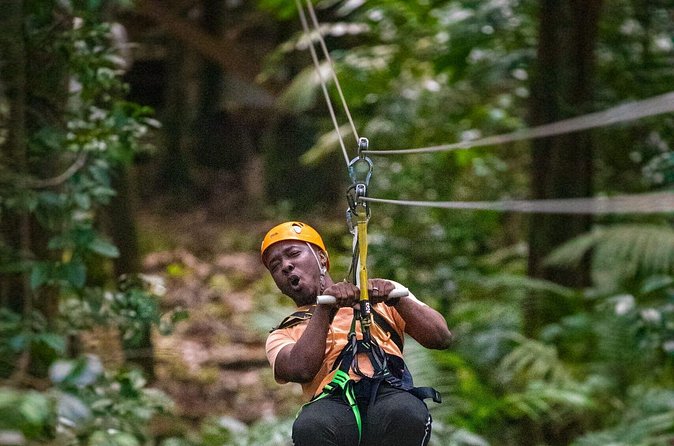 Rainforest Rush: St. Lucia Zip Line Adventure - Is $87.30 a fair price?