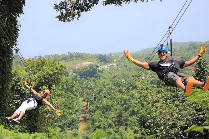 Rainforest Zipline in Foothills of the National Rainforest - The final two lines deliver the real rush
