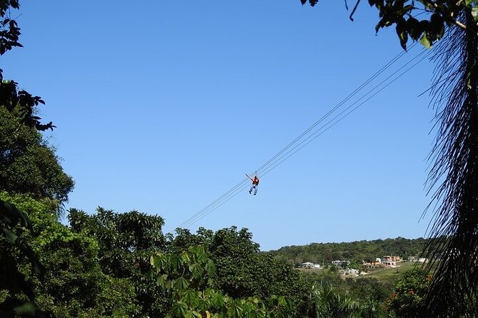 Rainforest Zipline in Foothills of the National Rainforest - Is $111.80 a fair price?