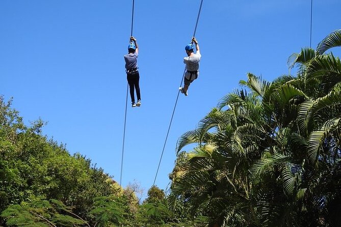 Rainforest Zipline in Foothills of the National Rainforest - Who should book this rainforest zipline