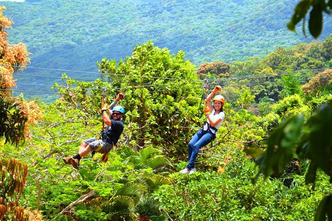Rainforest Zipline in Foothills of the National Rainforest - Rain, heat, and the practical fine print