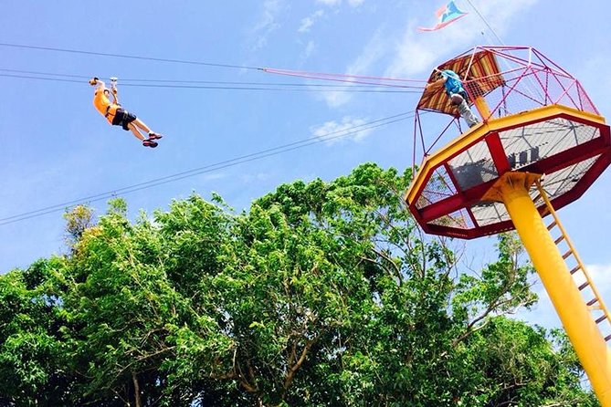 Rainforest Zipline in Foothills of the National Rainforest - Guides who make nervous first-timers feel safe