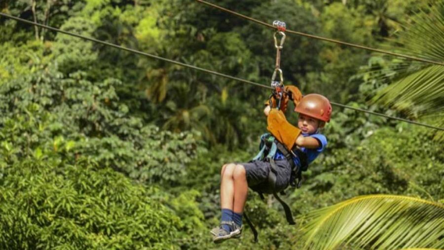 Rainforest Ziplining Adventure - Hotel pickup makes the $80 price easier to judge