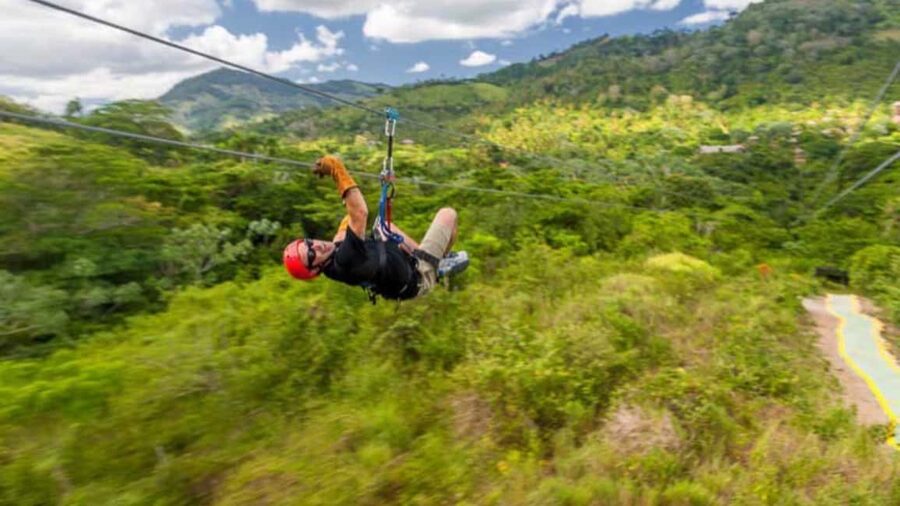 Rainforest Ziplining Adventure - The forest view is more than a backdrop
