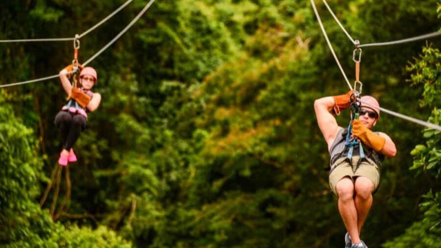 Rainforest Ziplining Adventure - Who will enjoy this most