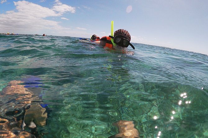 Reef Snorkeling with ATV, Zipline, Cenote that includes lunch and transportation - A full day from Cancun to Puerto Morelos and the jungle