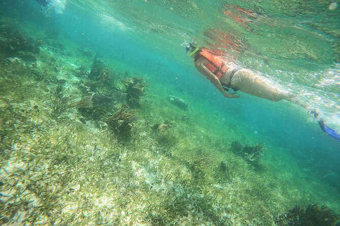 Reef Snorkeling with ATV, Zipline, Cenote that includes lunch and transportation - ATV riding on a 45-minute jungle course