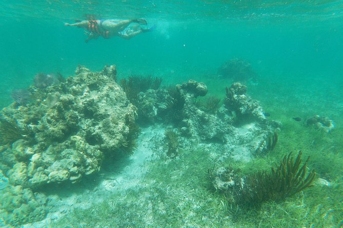 Reef Snorkeling with ATV, Zipline, Cenote that includes lunch and transportation - Ziplining among the trees