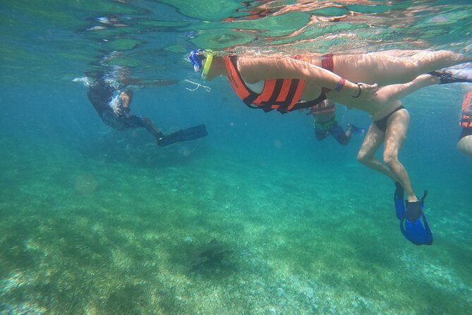 Reef Snorkeling with ATV, Zipline, Cenote that includes lunch and transportation - A short look at Puerto Morelos