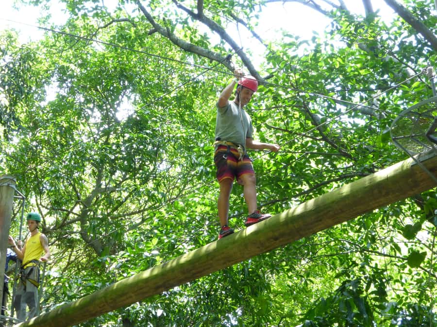 Rio de Janeiro: Zip Lining and Canopy Tree Tour - From Rio’s streets to Catacumba’s forest