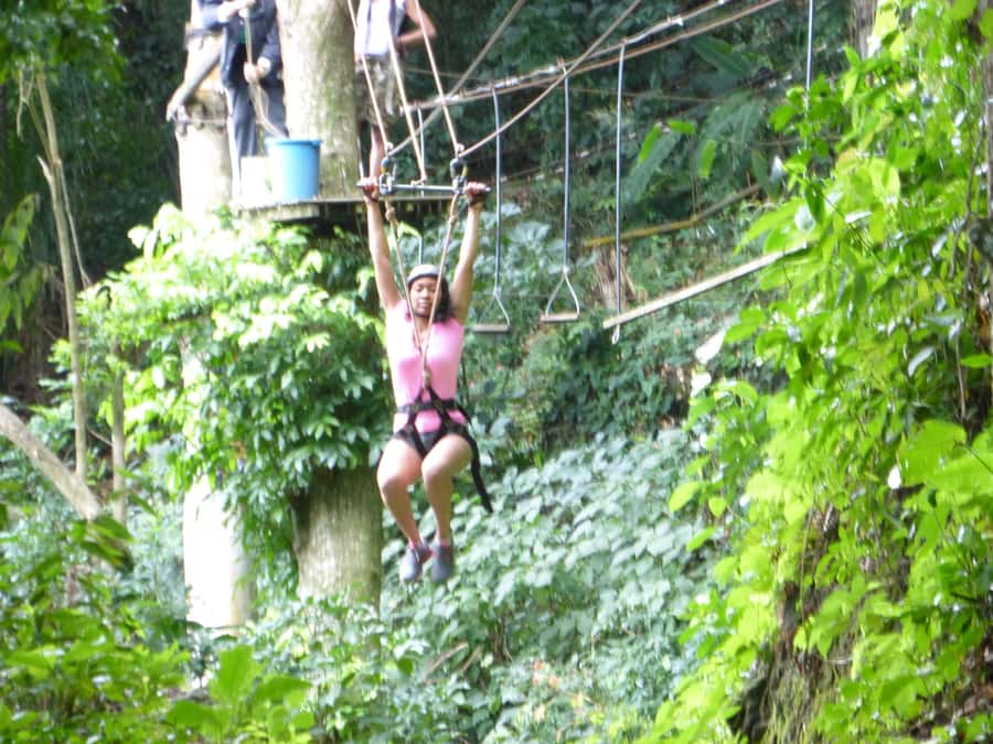Rio de Janeiro: Zip Lining and Canopy Tree Tour - The 30-minute zipline: quick, scenic, and not a full-day thrill ride
