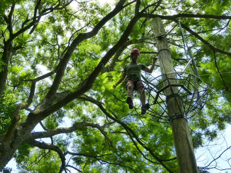Rio de Janeiro: Zip Lining and Canopy Tree Tour - How long the day really feels
