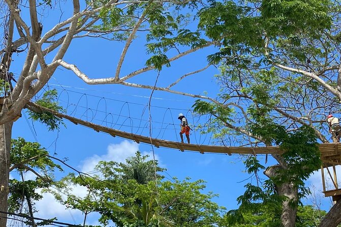 Rio Nuevo Village Ziplining - Key Points Before You Book