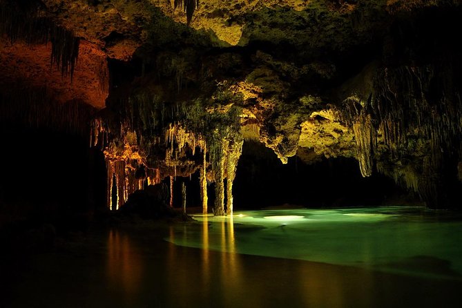 Rio Secreto Plus: Classic Tour, Bycicle, Rappel & Ziplines - The forest walk and dry cave section