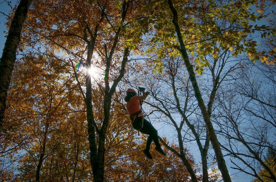 River Ziplines - Nature Tours - Key points to know before you book