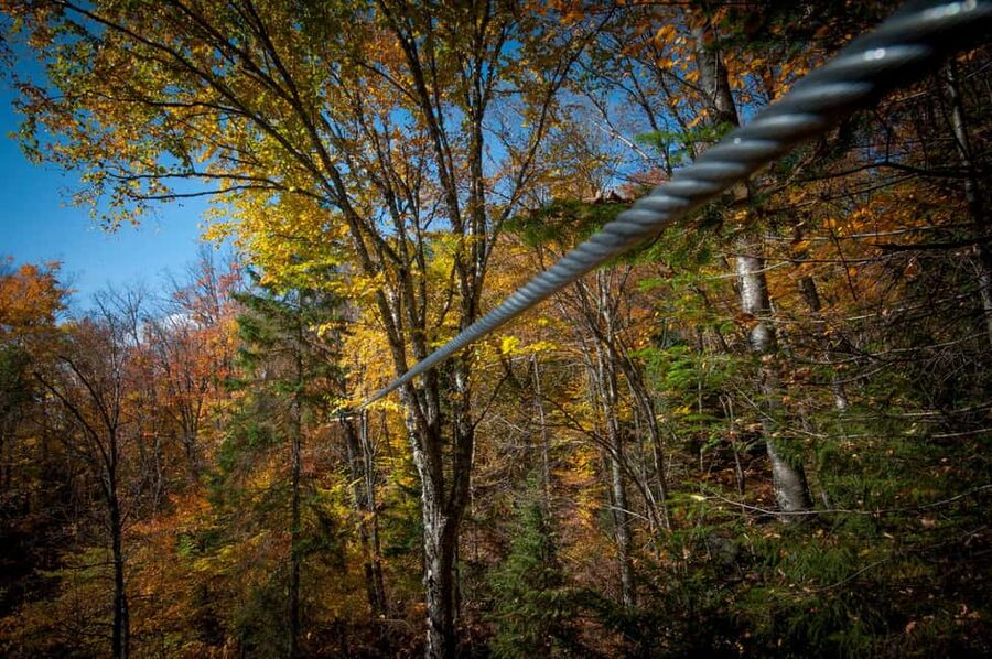 River Ziplines - Nature Tours - A good match for families, with firm limits