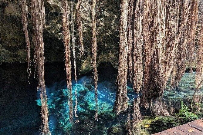 Riviera Maya Half Day Casa Jaguar Cenote, Zipline and ATV - Who will enjoy this most