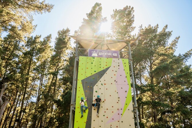 Rock Climb, Zipline and Mega Swing Experience - Key points to know before you book