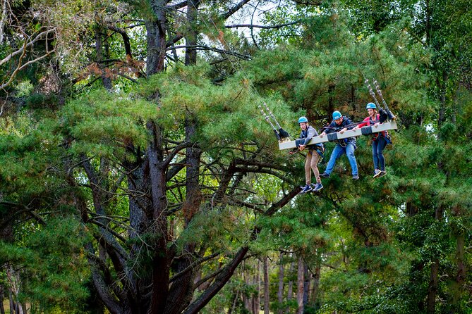 Rock Climb, Zipline and Mega Swing Experience - Starting among the trees at Piccadilly