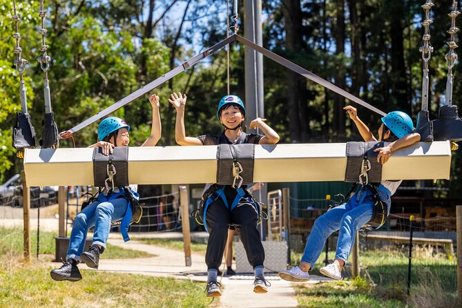 Rock Climb, Zipline and Mega Swing Experience - The 15-metre Adventure Tower