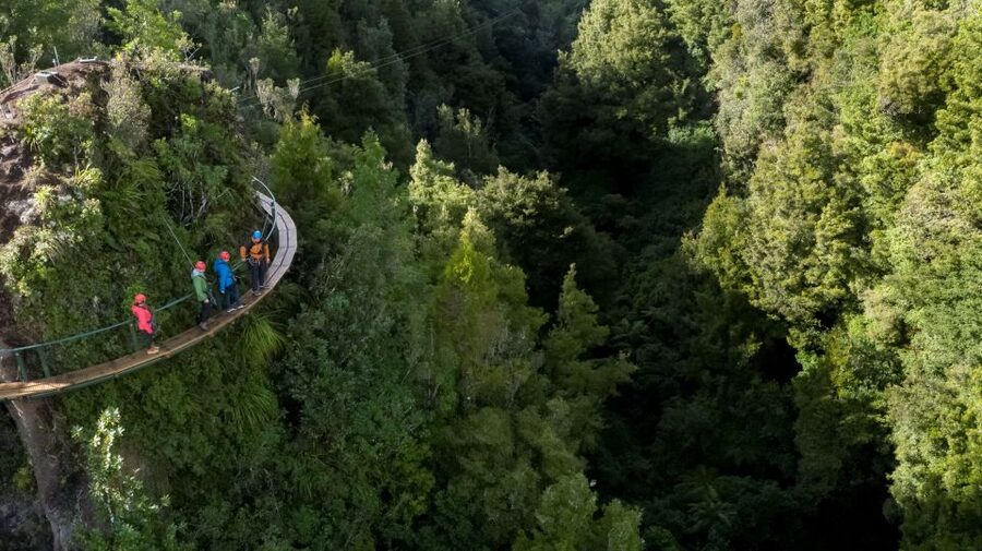 Rotorua: 6 Ziplines, 400m Tandem, Cliff Walk & Swing Bridges - What makes this Rotorua canopy tour special