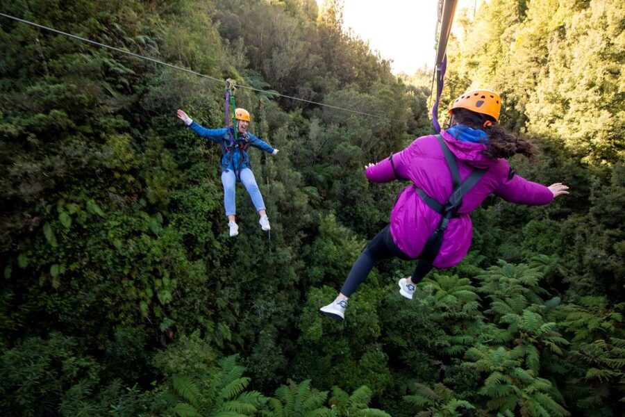 Rotorua: 6 Ziplines, 400m Tandem, Cliff Walk & Swing Bridges - Climbing the floating staircase for Lake Rotorua views