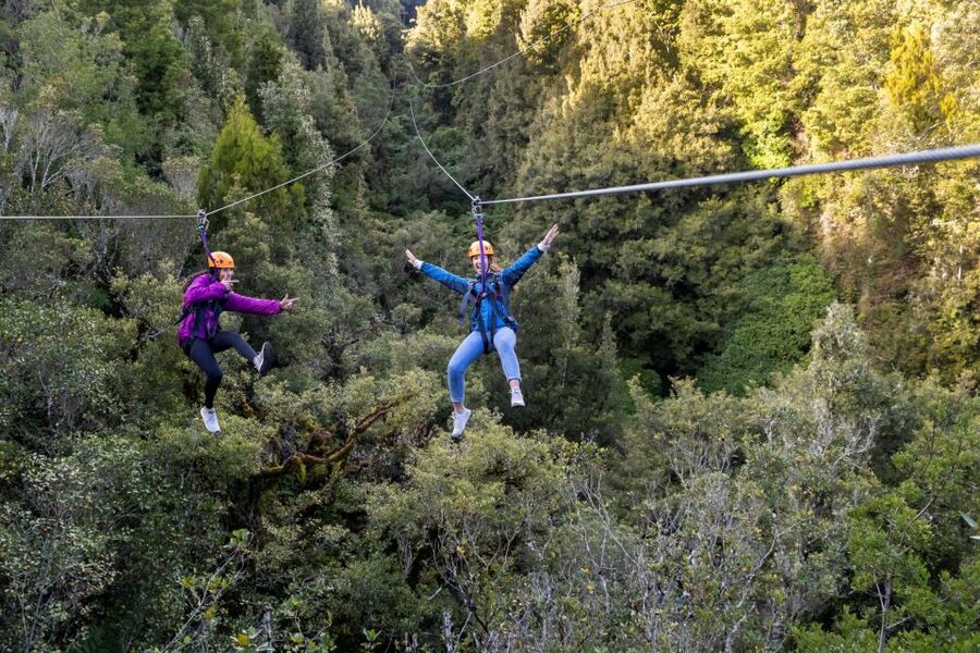 Rotorua: 6 Ziplines, 400m Tandem, Cliff Walk & Swing Bridges - The controlled descent from the treetops