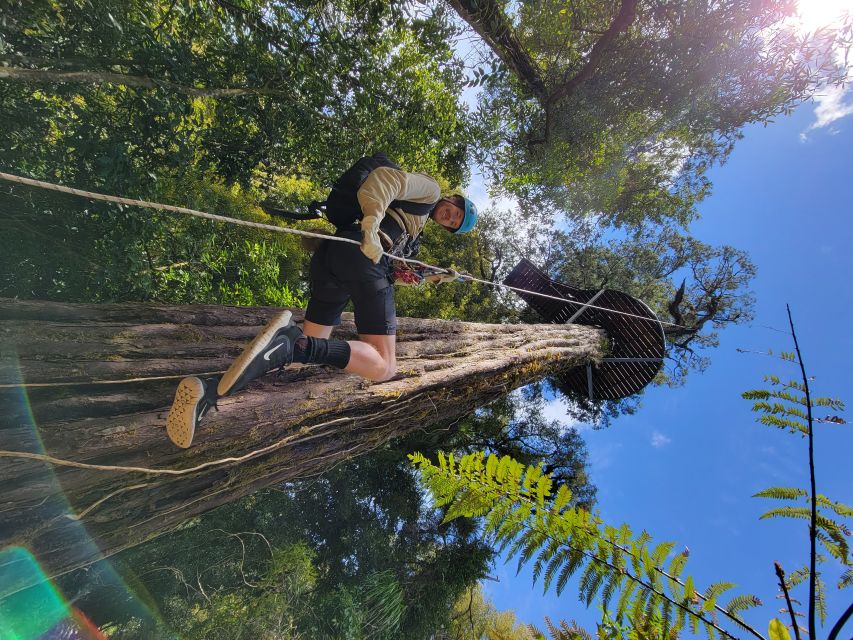 Rotorua: 6 Ziplines, 400m Tandem, Cliff Walk & Swing Bridges - Guides, group size, and the safety setup