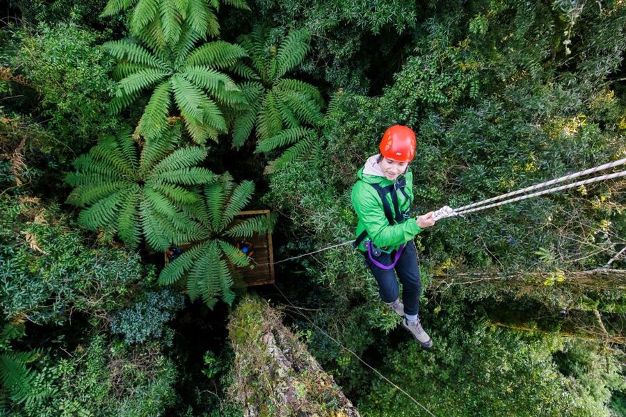 Rotorua: 6 Ziplines, 400m Tandem, Cliff Walk & Swing Bridges - What the $152 price includes