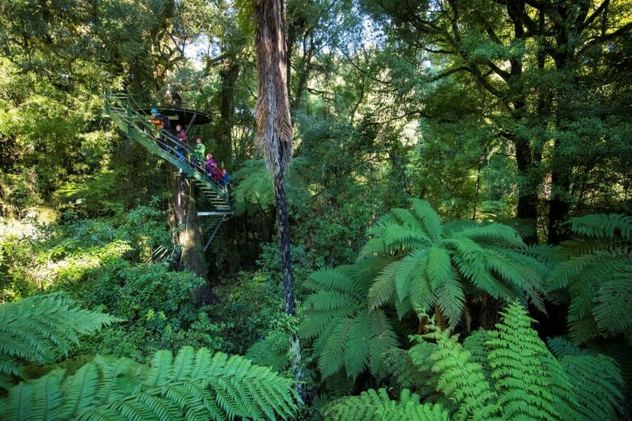 Rotorua: 6 Ziplines, 400m Tandem, Cliff Walk & Swing Bridges - The cliff walk and volcanic rock
