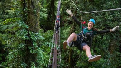 6 Ziplines, Swing-Bridges & Wildlife Encounters