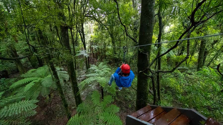 Rotorua: 6 Ziplines, Swing-Bridges & Wildlife Encounters - My practical advice before you go