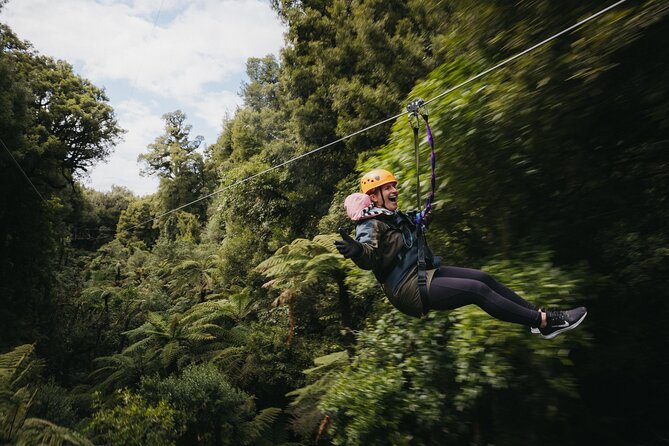 Rotorua Canopy Tours: 2.5Hour Native Forest Zipline Adventure - Arriving at Fairy Springs Road