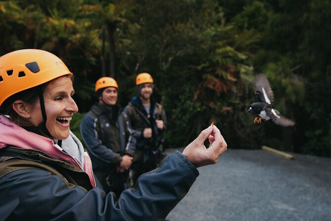 Rotorua Canopy Tours: 2.5Hour Native Forest Zipline Adventure - Six Lines Through the Native Canopy