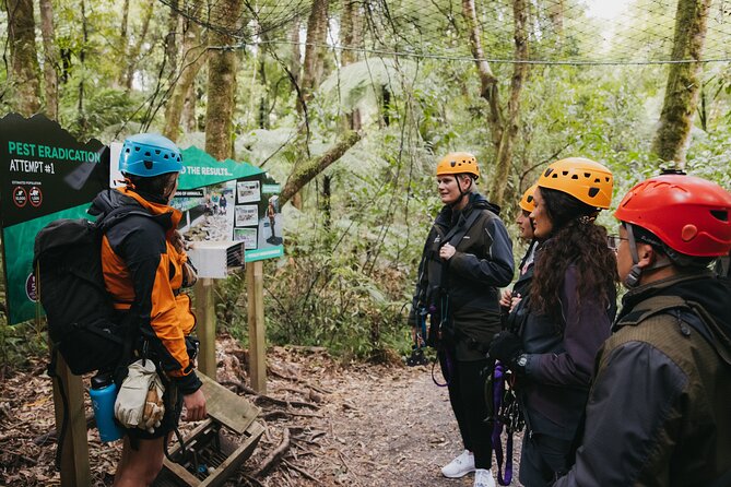 Rotorua Canopy Tours: 2.5Hour Native Forest Zipline Adventure - Safety Without Losing the Fun